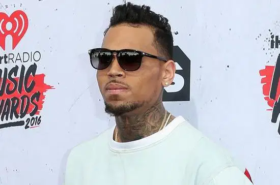 Singer Chris Brown ordered to pay housekeeper $13m after dog attack